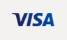 Visa accepted at SpinBoss Casino